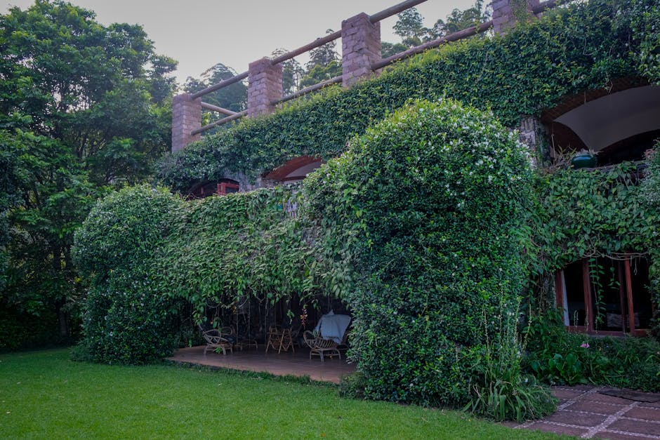 Amenagement exterieur terrasse et jardin